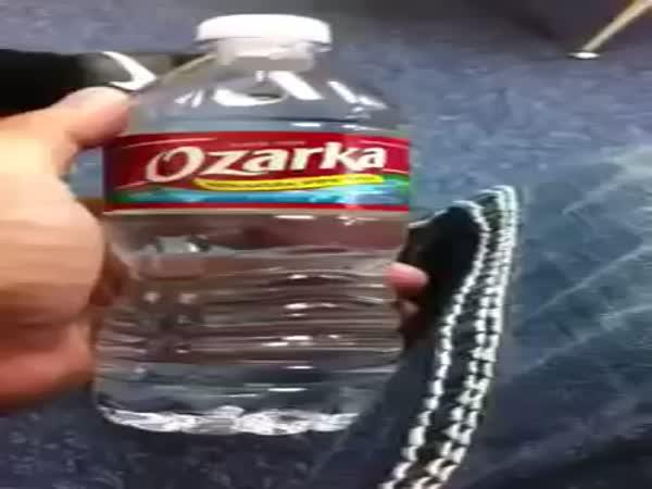   Vypil flašku vody za vteřinu    