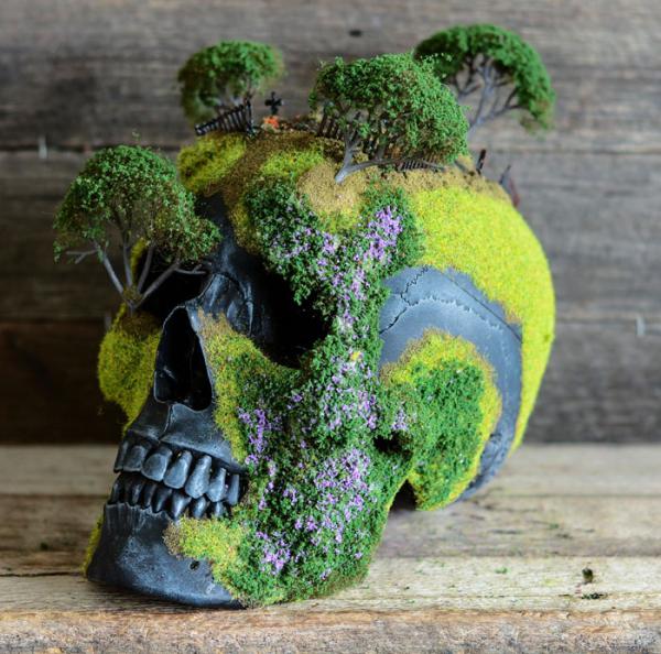 GALERIE - Unikátní bonsai na lebce