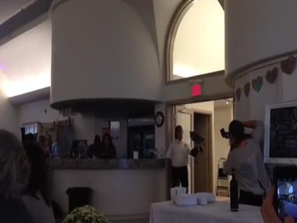       Nepovedené vypuštění ptáka na svobodu      