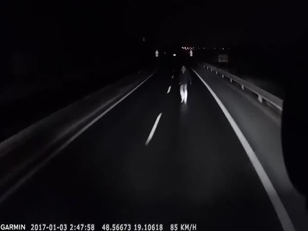 Idiot na silnici vs. Bystrý řidič