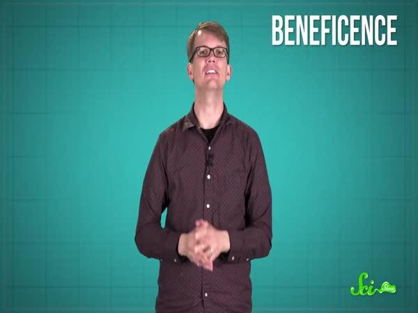       5 psychologických experimentů      