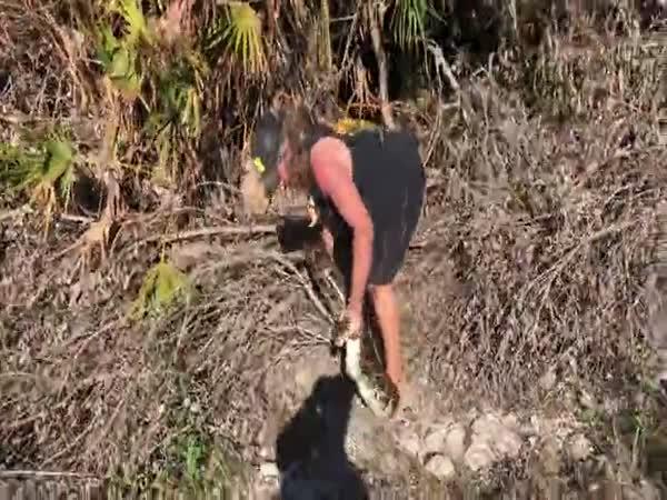 Lovci v Miami mají plné ruce práce