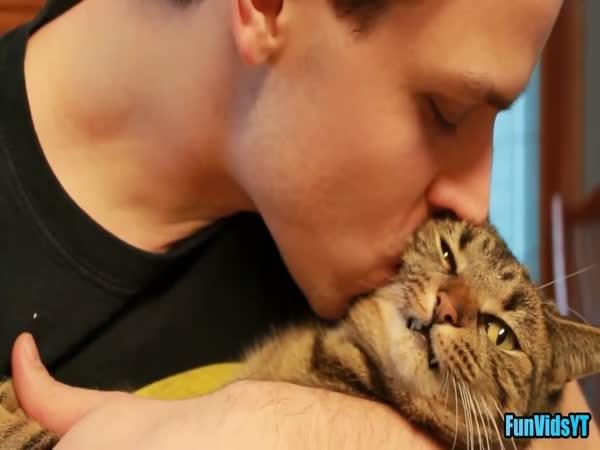 Kočky a psi, kteří nechtějí pusu      