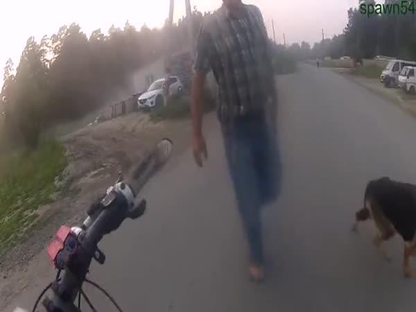 Cyklista vs. pes a majitel      