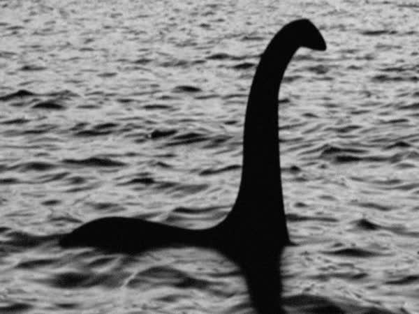 TOP 5 - Loch Ness zachycena na kameru