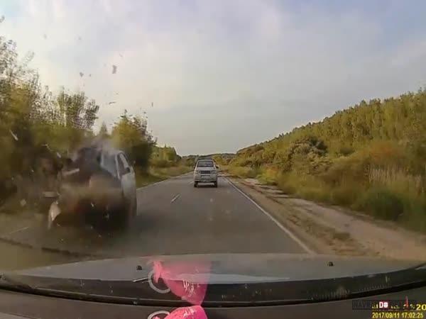 Motonehoda v Rusku #136