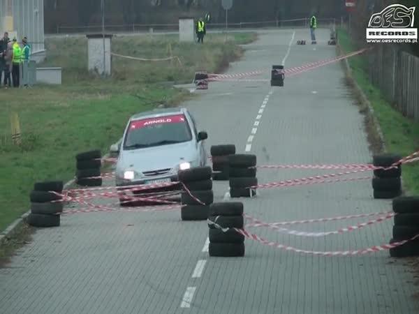       Osudový obrubník Citroënu Xsara      