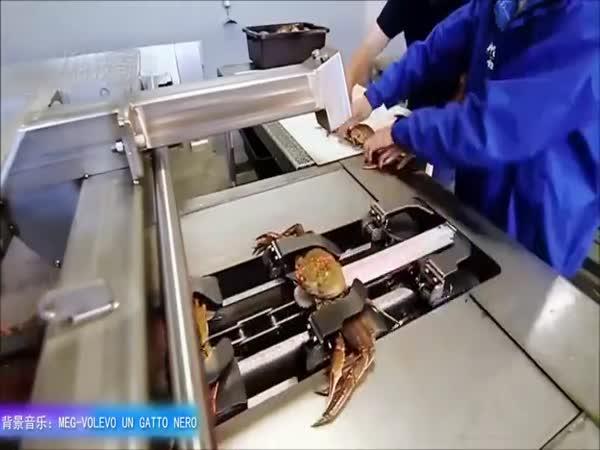 Továrna na zpracování krabů