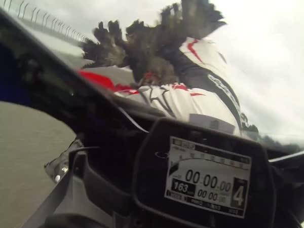 Motorkář vs. pták v plné rychlosti