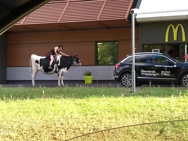     GALERIE – Opravdu zvláštní fotky  