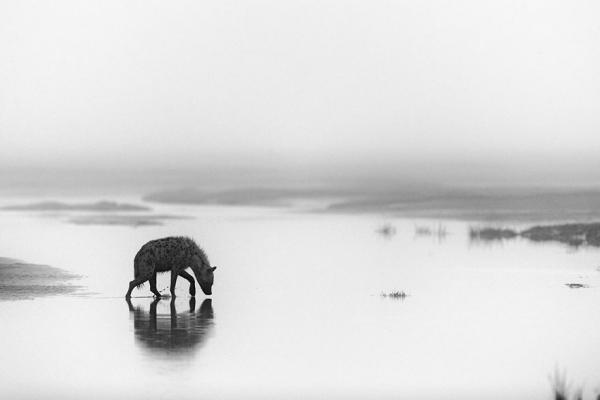     GALERIE – Úžasné fotky (ne)jen přírody #5    