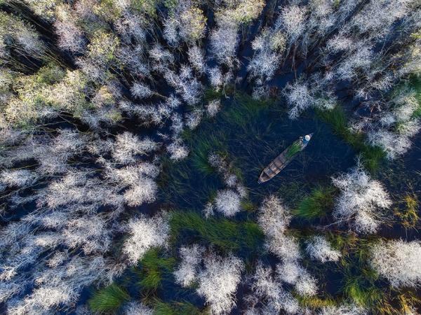     GALERIE – Úžasné fotky (ne)jen přírody #6    
