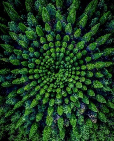       GALERIE – Tyto fotografie změní váš pohled na svět      