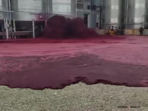     Jak vypadá 50 000 liltrů vína    