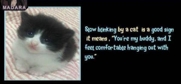       GALERIE – Zajímavá fakta, která se nezdají být možná      