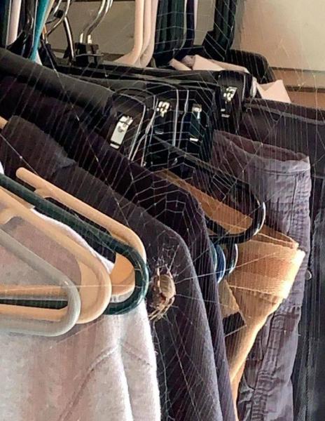     GALERIE – Když ve svém pronajatém bytě najdete překvapení    