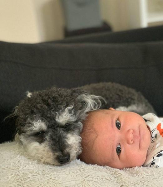     GALERIE – Děti a psi    