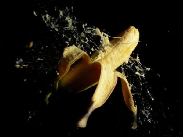     GALERIE – Objekty pořízené při ničení    