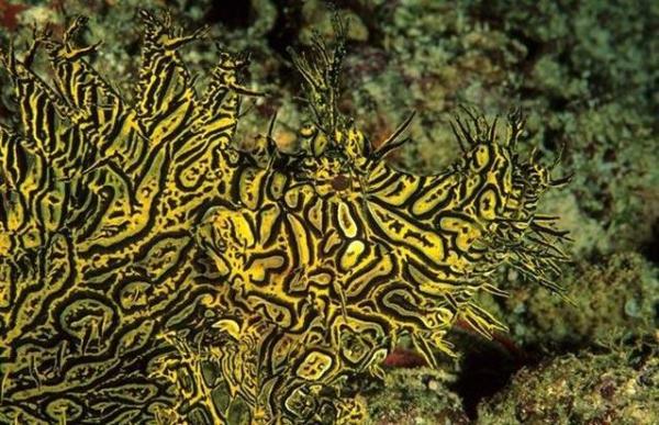     GALERIE – Mistři převleků    