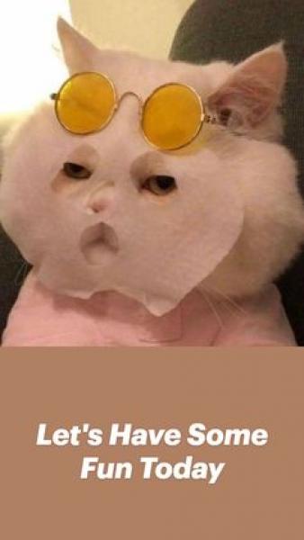       GALERIE – Pobaveníčko      