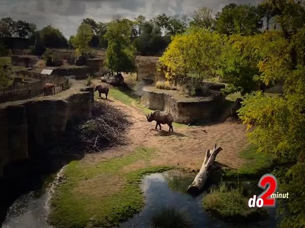       TOP 5 – Největší zoo na světě      