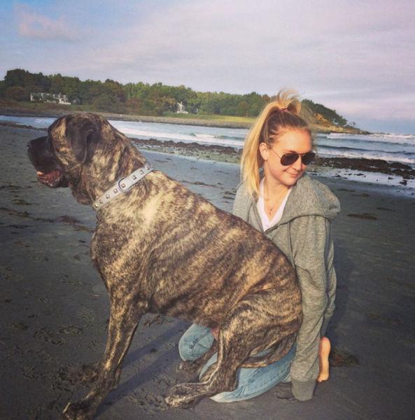     GALERIE – Psí bucket list    