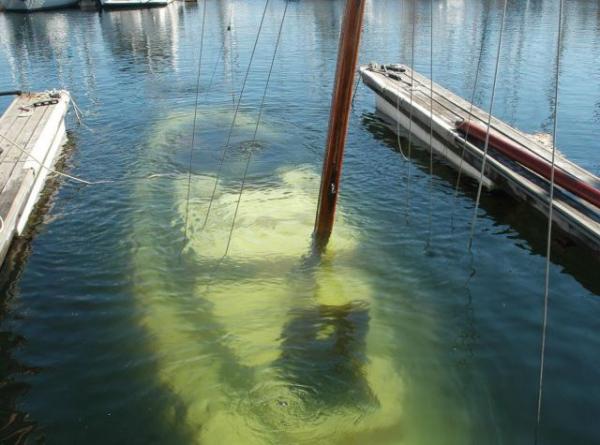     GALERIE – Svět z jiného pohledu    