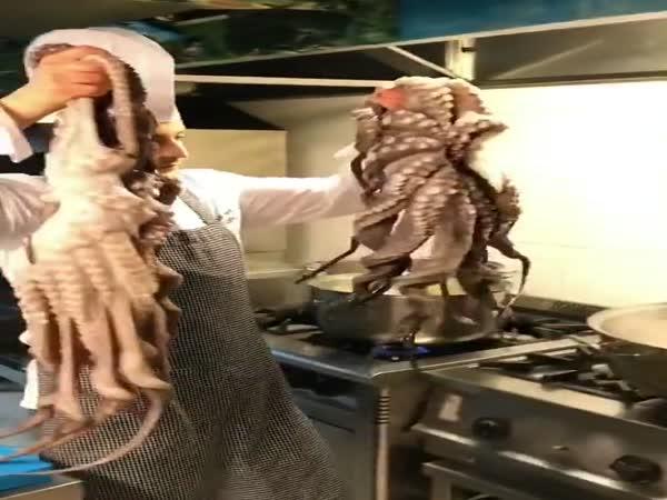     Obří grilovaná chobotnice    