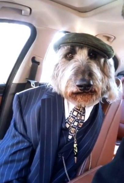     OBRÁZKY pro dnešní den 3727. díl    