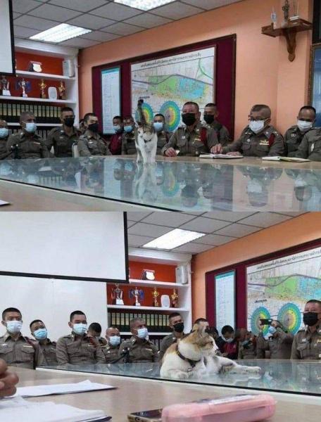     OBRÁZKY pro dnešní den 3765. díl    