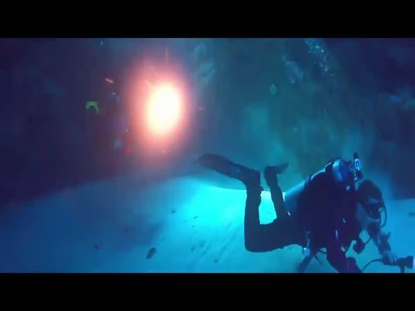     Neuvěřitelný příběh potápěče    