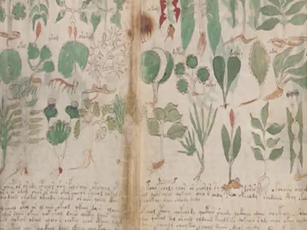       Voynichův rukopis      
