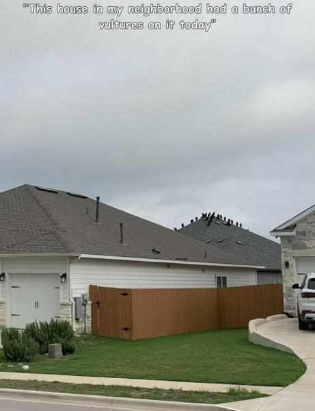     OBRÁZKY pro dnešní den 3928. díl    