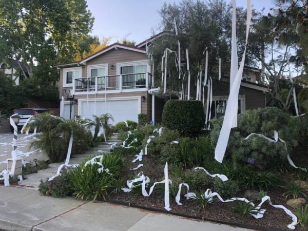     OBRÁZKY pro dnešní den 3939. díl    