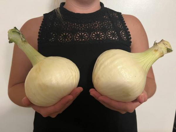     OBRÁZKY pro dnešní den 3994. díl    