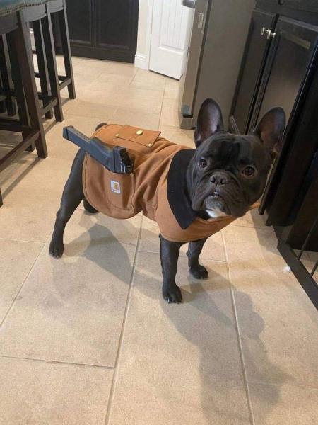     OBRÁZKY pro dnešní den 4022. díl    