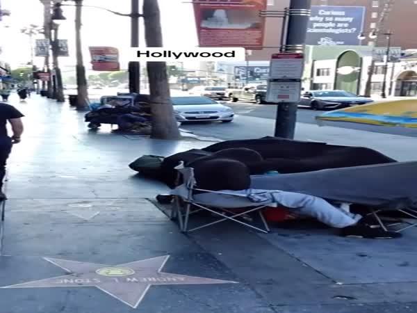       Chodník v Hollywoodu ve dne      