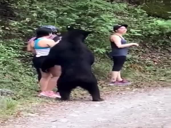     Medvěd si vyhlédl turistku v horách    