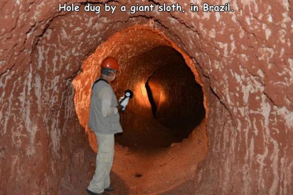     OBRÁZKY pro dnešní den 4229. díl    