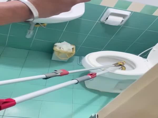       Zablokovaný záchod      