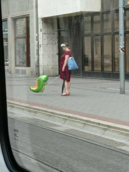 OBRÁZKY pro dnešní den 4413. díl