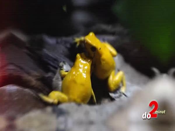       TOP 5 – Věci, kterých se nedotýkejte      