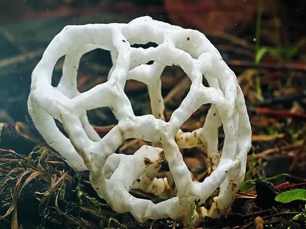       TOP 10 – Neuvěřitelné přírodní jevy      