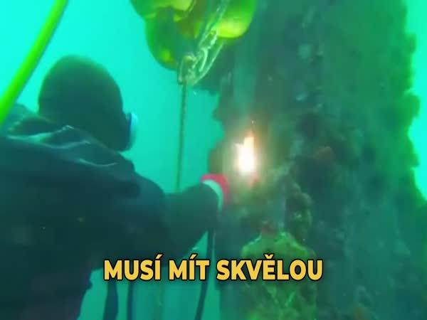       TOP 10 – Neobvyklá zaměstnání      