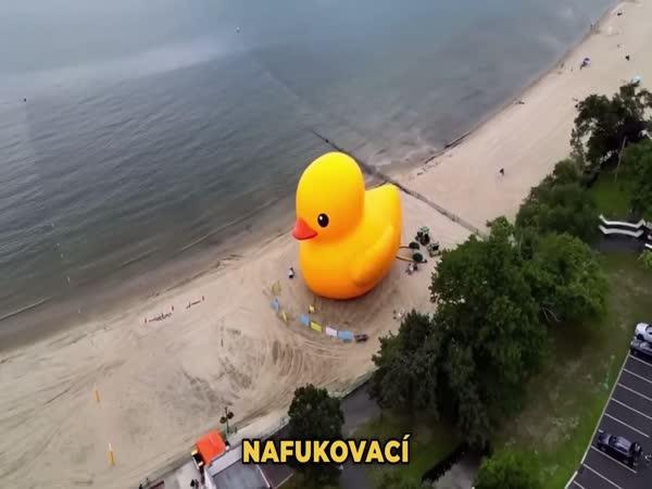       TOP 10 – Bizarní moderní výtvory      