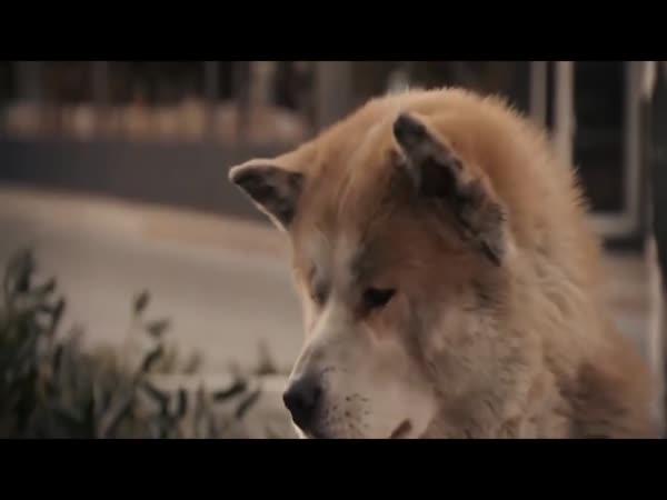       TOP 20 - Zajímavosti o našem světě      