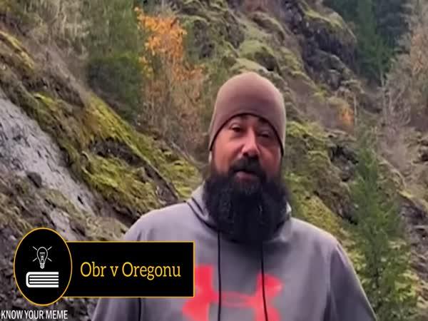       TOP 20 - Gigantických obrů na kameře      