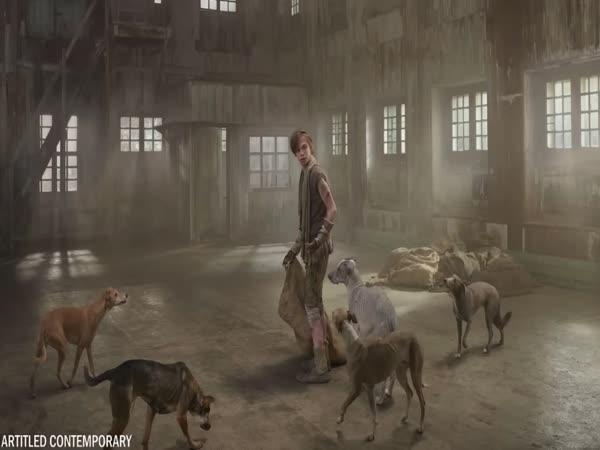       TOP 10 - Děti vychované zvířaty      