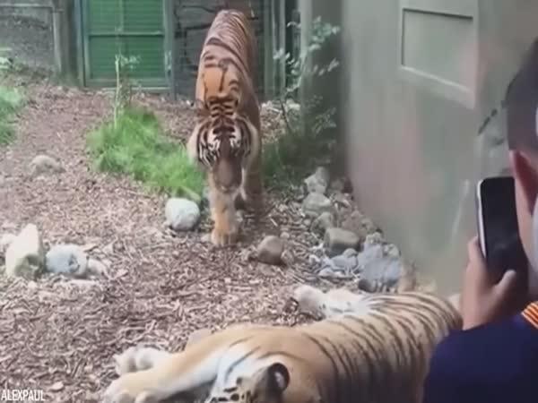       TOP 15 - Příliš slabé sklo      