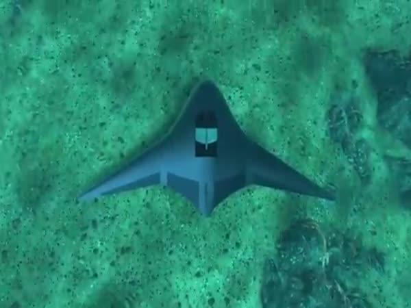     Projekt Northrop Grumman    